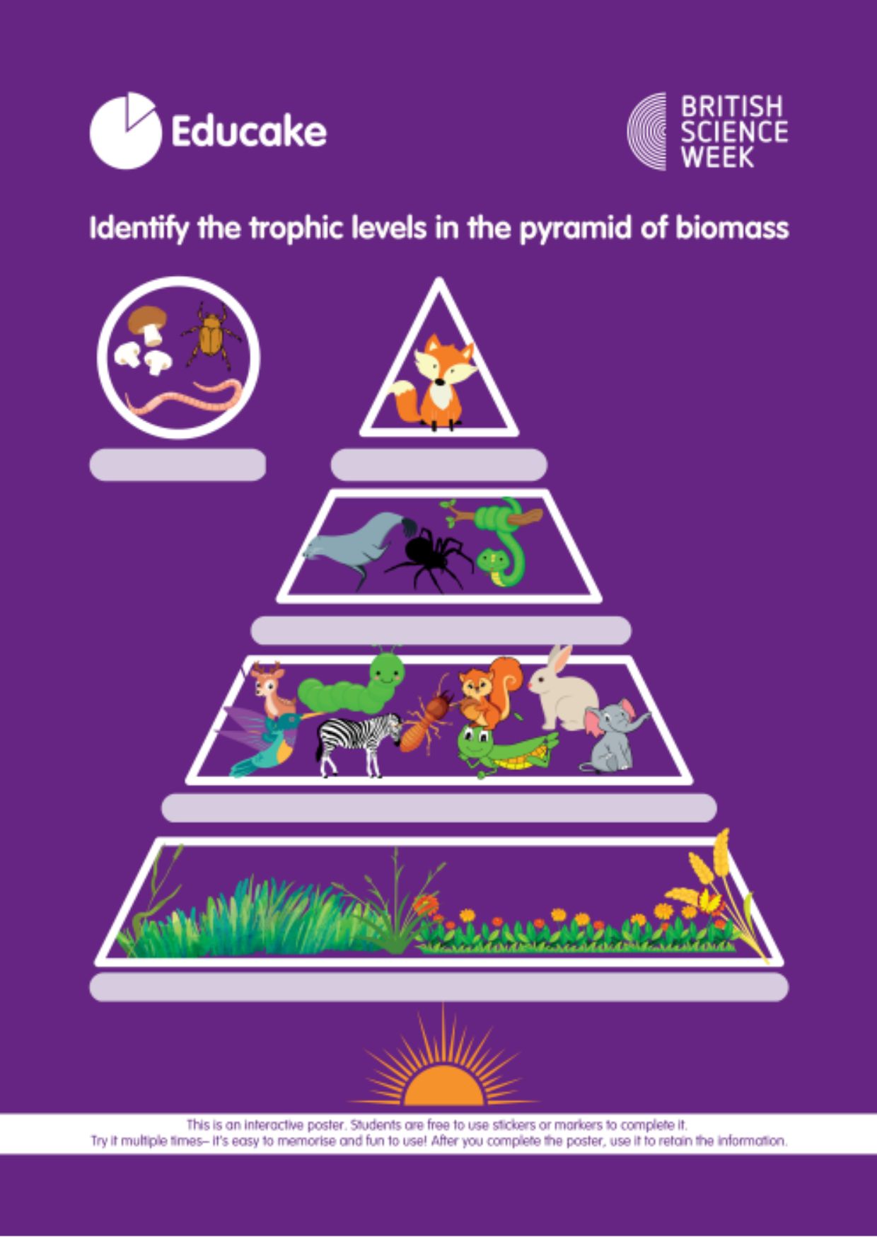 British Science Week Free Interactive Posters Educake