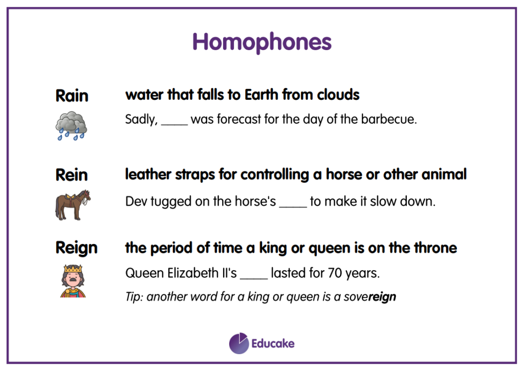 Free Homophone Posters Educake